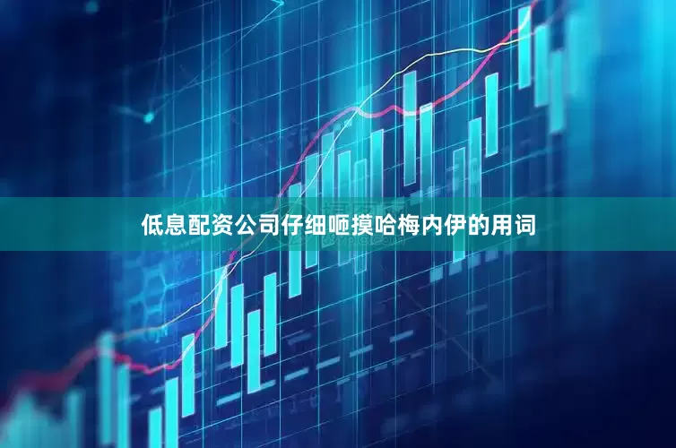 低息配资公司仔细咂摸哈梅内伊的用词