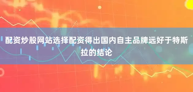 配资炒股网站选择配资得出国内自主品牌远好于特斯拉的结论