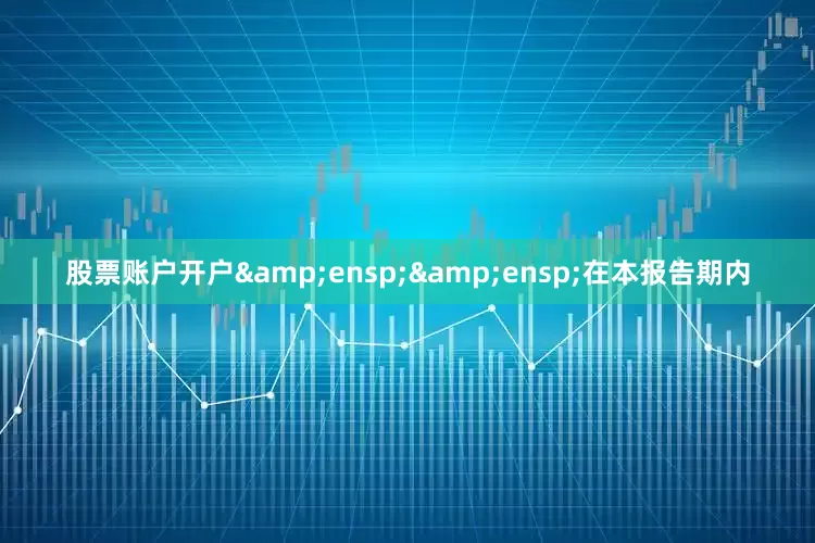 股票账户开户&ensp;&ensp;在本报告期内