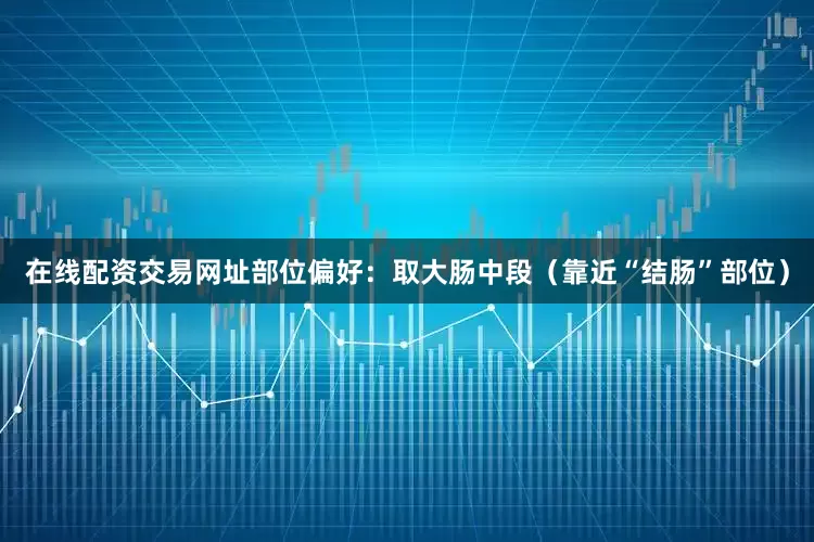 在线配资交易网址部位偏好：取大肠中段（靠近“结肠”部位）