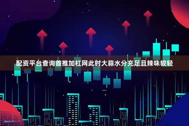 配资平台查询首推加杠网此时大蒜水分充足且辣味较轻